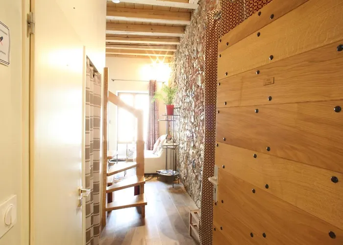 Savoie - Le Cygne Apartamento Annecy
